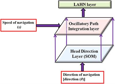 Modeling the Effect of Environmental Geometries on Grid Cell Representations